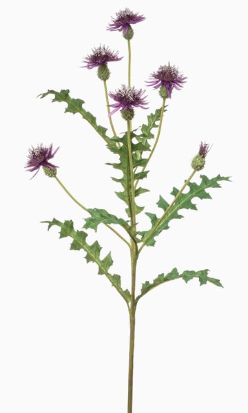 Nahaufnahme einer künstlichen Pfingstrose mit weiß-rosa Blütenblättern.