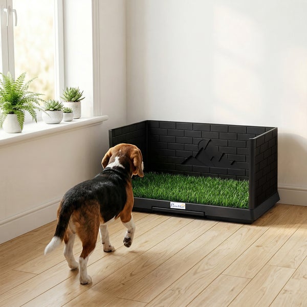 Hundetoilette für den Innenbereich von PawHut mit Kunstrasen und Spritzschutzwänden in Steinoptik, Beagle davor.