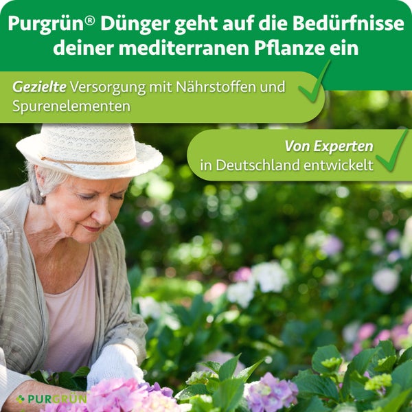 Frau hält eine Pflanze neben einer Auswahl an Purgrün Spezialdüngern für Zimmer, Balkon und Garten.