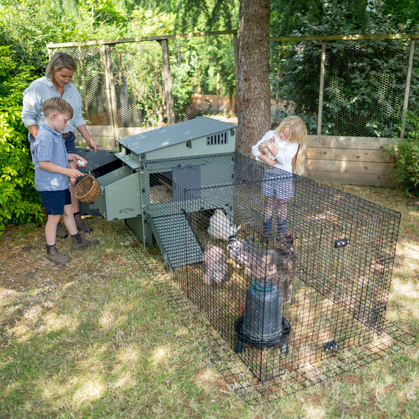 Nestera Hühnerstall aus Kunststoff mit Drahtauslauf im Garten, eine Frau und zwei Kinder sammeln Eier und beobachten Hühner.
