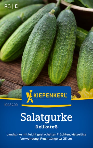 Saatgut Salatgurke Delikateß von Kiepenkerl mit gestachelten Früchten und einer Fruchtlänge von circa 25 Zentimeter