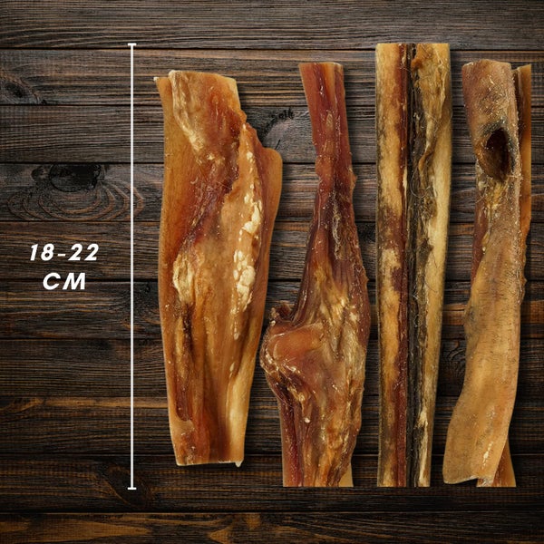 Vier Hundekauartikel, 18 bis 22 Zentimeter lang