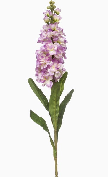 Künstlicher Levkojen-Stiel mit Blüten und Knospen in Violett und Weiß.