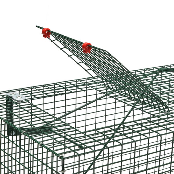 Safe 5002 Lebendfalle 30x30x90cm 1 Eingang