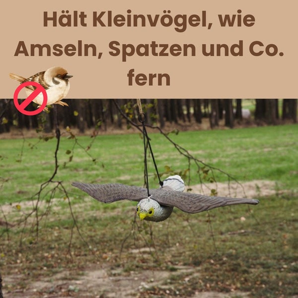 Vogelschutzattrappe eines Raubvogels zum Schutz vor kleinen Vögeln