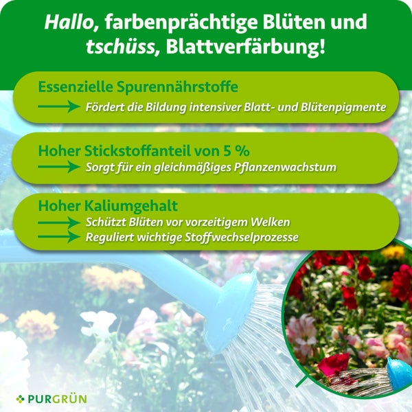 Infografik zum Purgrün Blumendünger mit Angaben zu Spurennährstoffen, Stickstoffgehalt und Kaliumgehalt für kräftiges Pflanzenwachstum.