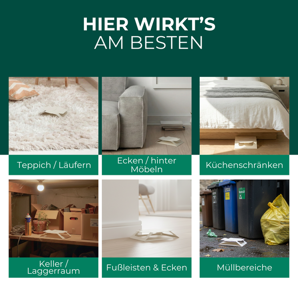 Anwendungsbereiche Schädlingsbekämpfung: Teppich, hinter Möbeln, Küchenschränke, Keller, Fußleisten und Müllbereiche