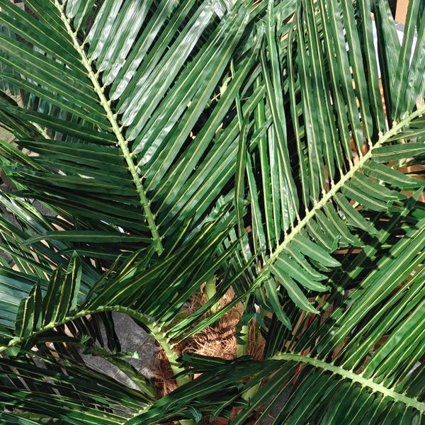 Künstliche Palme mit detailgetreuen Palmwedeln aus Kunststoff.