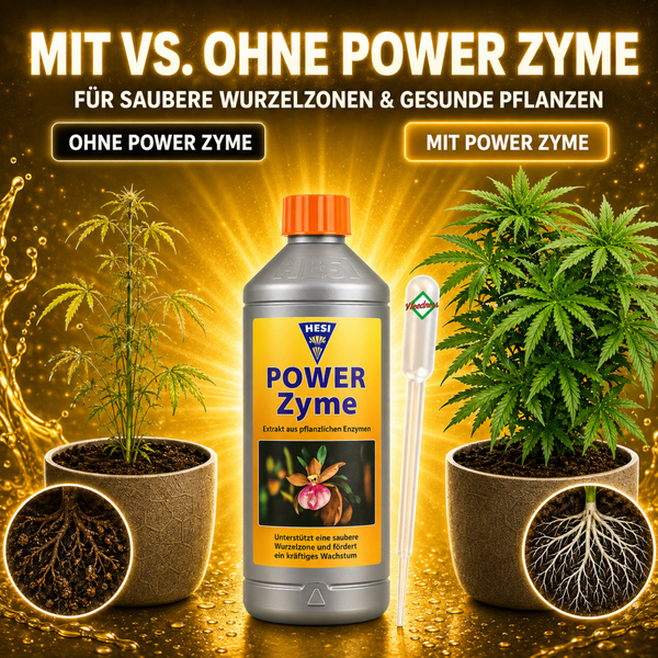 Vergleichsbild Hesi Power Zyme Pflanzendünger mit und ohne Anwendung für gesunde Wurzeln und kräftiges Pflanzenwachstum inklusive Messpipette.