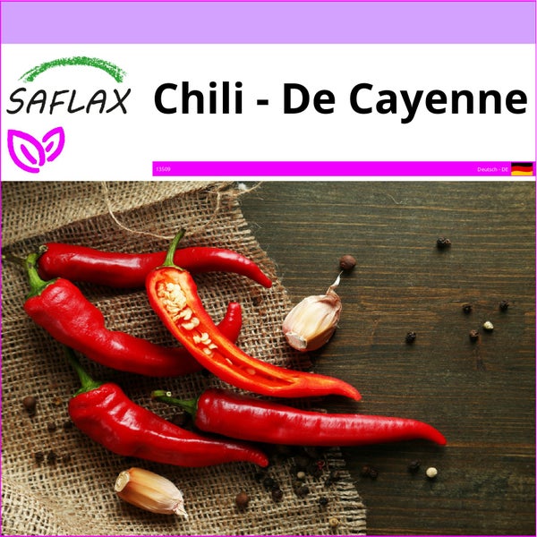 SAFLAX  - Chili - De Cayenne - Capsicum annum - 20 Samen