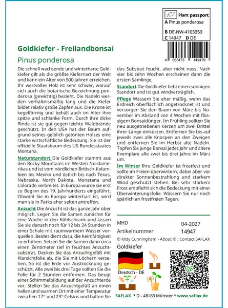 SAFLAX  - Goldkiefer - Pinus ponderosa - 20 Samen