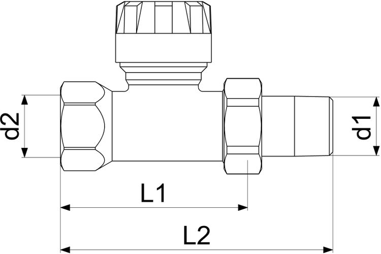 Maßzeichnung eines Ventils mit den Maßangaben d1, d2, L1 und L2.