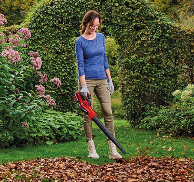Eine Frau benutzt einen roten Akku-Laubbläser, um braune Herbstblätter in einem Garten mit grünen Hecken und rosa Blumen zu entfernen.