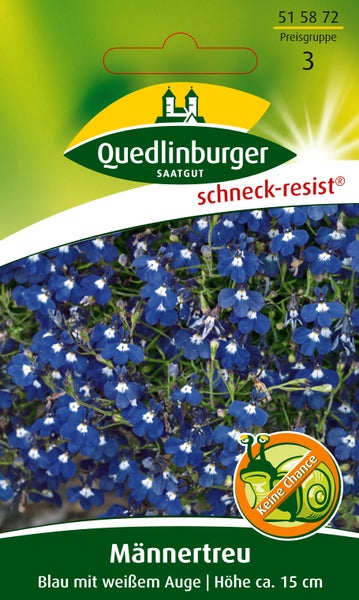 Rückseite einer Samentüte für Männertreu mit Symbolen für Aussaat im Haus, Keimung bei 18 bis 20 Grad und Blüte von Juni bis September.