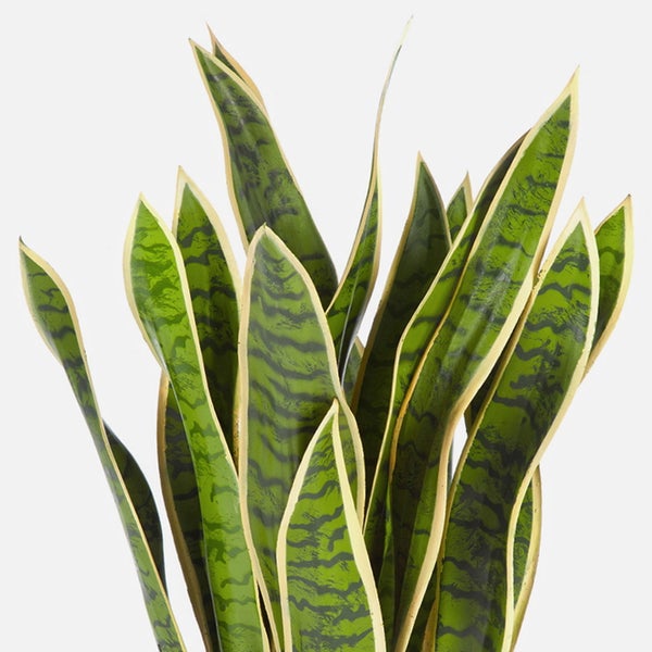 Künstlicher Bogenhanf Sansevieria im schwarzen Kunststofftopf mit grün-gelben Blättern