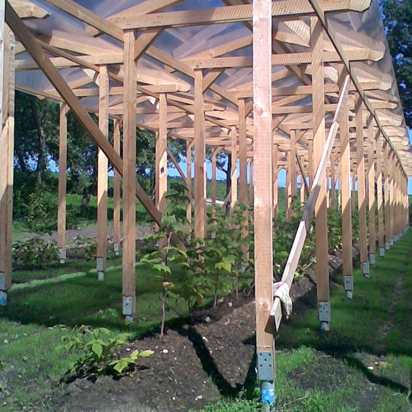 Hölzerne Überdachungskonstruktion für Pflanzen im Außenbereich mit lichtdurchlässigem Dach und stabilen Holzpfosten.