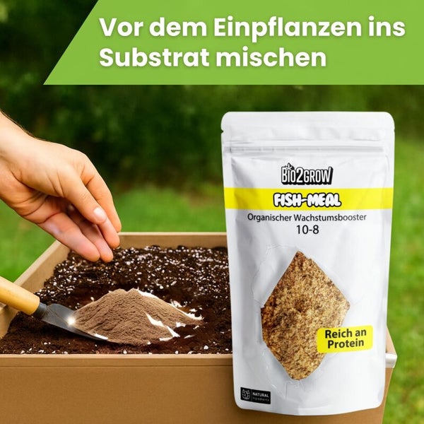 Bio2Grow Fischmehl organischer Wachstumsbooster mit Schaufel in Pflanzsubstrat gemischt