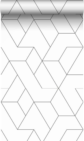 Origin Wallcoverings Tapete grafische Linien Schwarz-Weiß - 50 x 900 cm - 347903