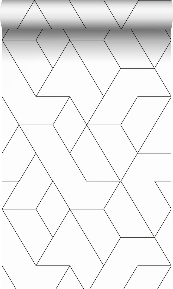 Origin Wallcoverings Tapete grafische Linien Schwarz-Weiß - 50 x 900 cm - 347903