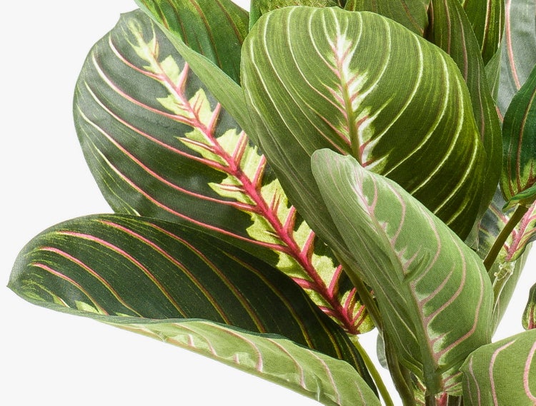 Künstliche Maranta Pflanze mit gemusterten grünen Blättern und rosa Blattadern.