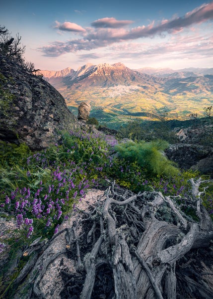 Landschaft mit Bergen, Vegetation und Baumwurzeln