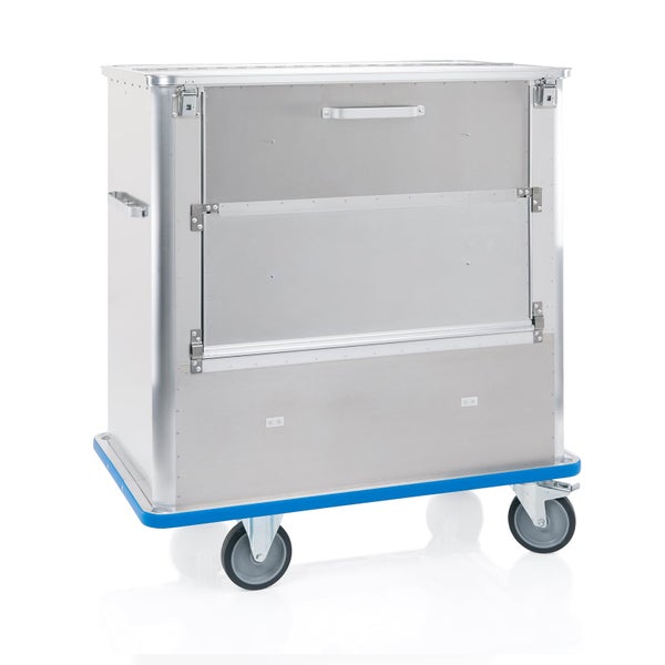 Zweig mit Blättern und roten Beeren