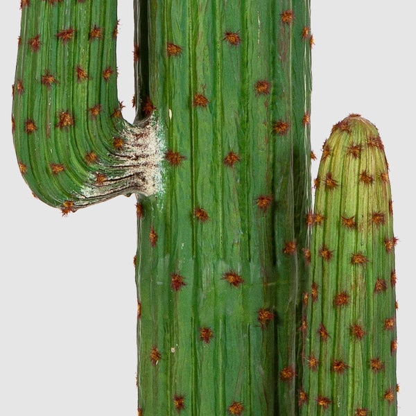 Künstlicher grüner Kaktus mit gerippter Oberfläche und braunen Stacheln.