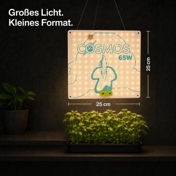 LED Pflanzenlampe Cosmos 65 Watt mit quadratischem Panel 25 mal 25 Zentimeter über einer Pflanzschale mit frischem Basilikum zur Pflanzenbeleuchtung.