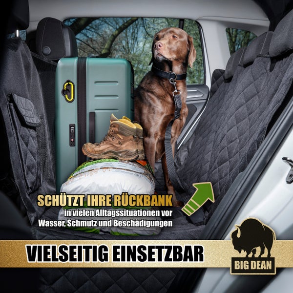 Autoinnenraum mit Gepäck, Hund und Autoschondecke für die Rückbank