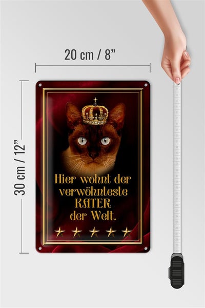 Blechschild Spruch 20x30cm hier wohnt Kater der Welt