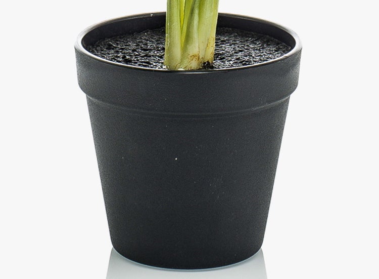 Strukturierter schwarzer Blumentopf mit einer Pflanze.