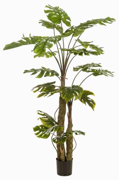 Künstlicher Philodendron KORVEX, Luftwurzeln, 180cm - Kunstpflanze Monstera deliciosa