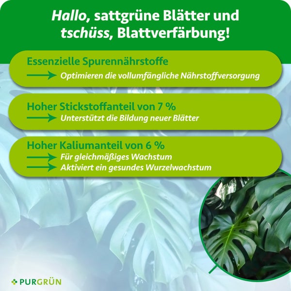 Infografik für Purgrün Dünger mit Details zu Spurennährstoffen, 7 Prozent Stickstoff für Blätter und 6 Prozent Kalium für Wurzeln und Wachstum.