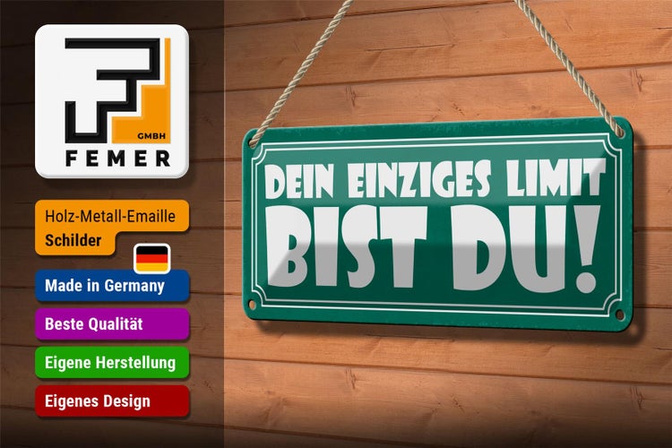 Blechschild Spruch 27x10cm dein einziges Limit bist Du Dekoration