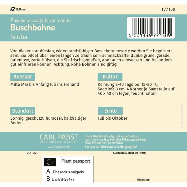 Buschbohne früh & dunkelgrün Scuba Samen von Pabst Keimkraft