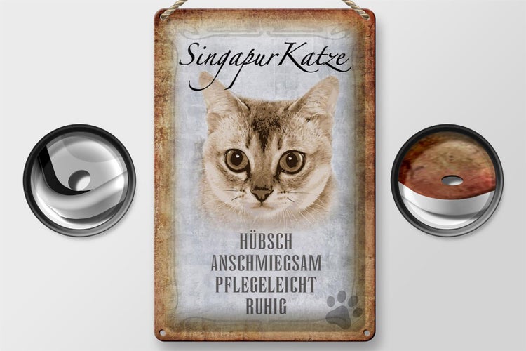 Blechschild Spruch 20x30cm Singapur Katze Schild