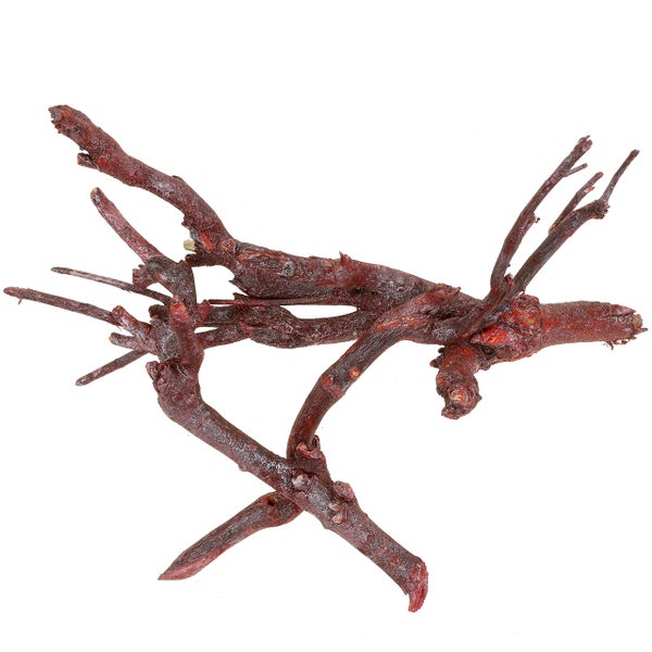 Verzweigte rötlich braune Naturwurzel für Aquarien und Terrarien.