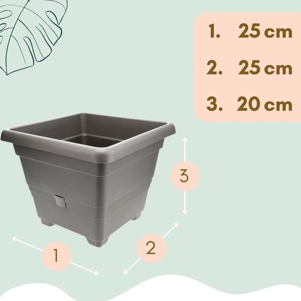 Abbildung eines grauen Blumentopfs mit Maßangaben: 25 cm Breite, 25 cm Tiefe und 20 cm Höhe.