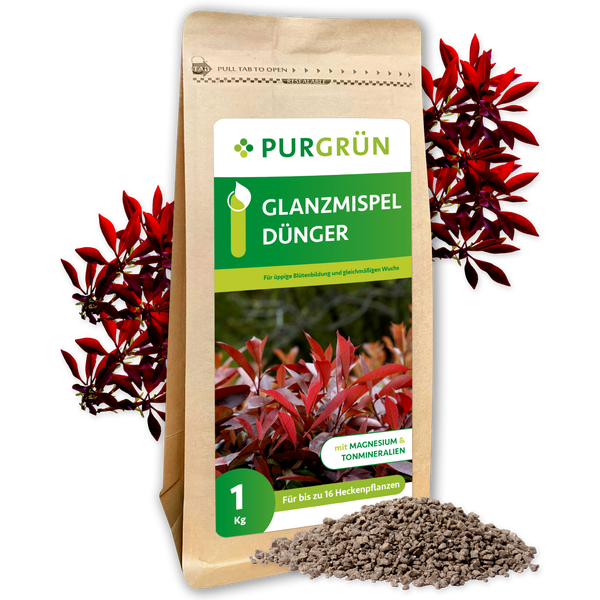 Infografik Heckendünger von Purgrün: Magnesium gegen gelbe Blätter, 8 Prozent Stickstoff für Wachstum, Kalium für Widerstandskraft. Purgrün Logo.