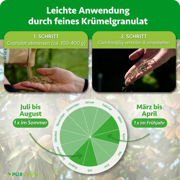Anwendungshinweise und Düngekalender für feines Krümelgranulat von PURGRÜN mit Schritt für Schritt Anleitung und Zeitplan für die Düngung.