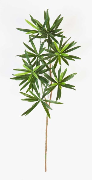 Künstlicher Podocarpus Zweig mit grünen, sternförmig angeordneten Blättern für Dekorationen.