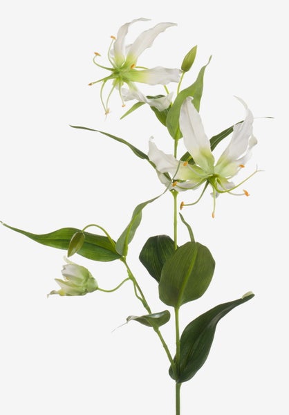 Künstlicher Blauregenzweig mit weißen Blüten und grünen Blättern.