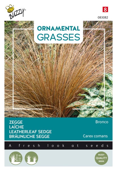Zegge Leatherleaf Sedge Samenpackung für Ziergräser