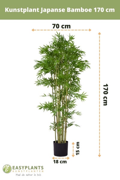 Kunstpflanze Japanischer Bambus 170 cm | HORNBACH
