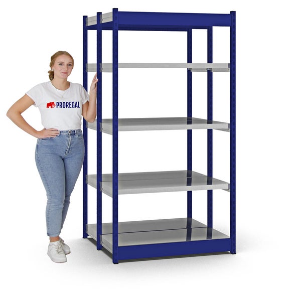 PROREGAL Fachbodenregal Stecksystem Vierkant-Profil Grundregal HxBxT 200 x 102,5 x 40 cm 2x5 Ebenen Doppelseitige Bauart Fachlast 200 kg Enzianblau