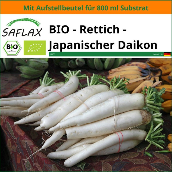 SAFLAX Garden in the bag - BIO - Rettich - Japanischer Daikon - Raphanus sativus - 100 Samen - Mit Anzuchtsubstrat im praktischen, selbst aufstellenden Beutel