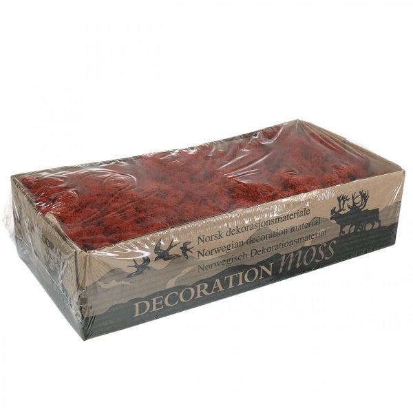 Verpackungseinheit Dekoration Moos