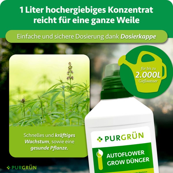 Purgrün Autoflower Grow Dünger Konzentrat zur Pflanzenpflege für schnelles Wachstum, eine Flasche ergibt bis zu zweitausend Liter Gießwasser.