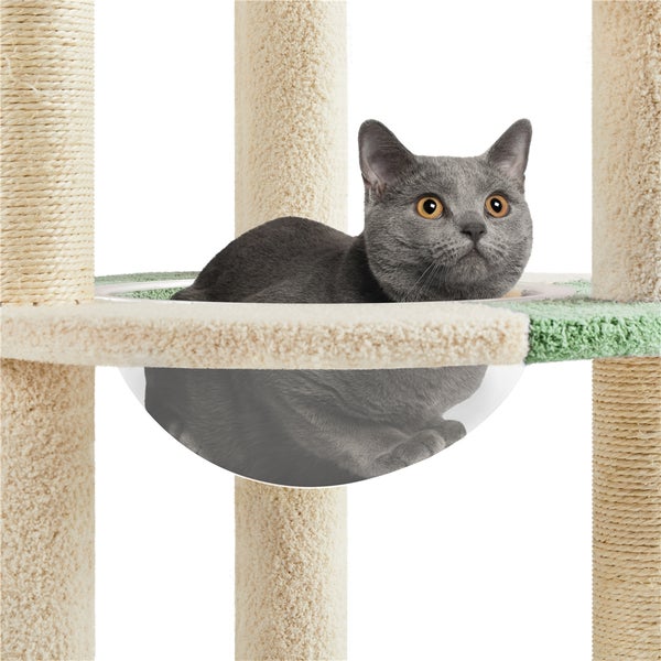 Katze auf einem Katzenkratzbaum mit Sisalstämmen und Liegeflächen
