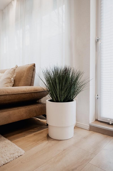 Modernes helles Wohnzimmer mit einem weißen abgestuften Pflanztopf mit Ziergras auf hellem Holzboden neben einem beigefarbenen Sofa.
